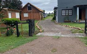 Cabañas los Cactus